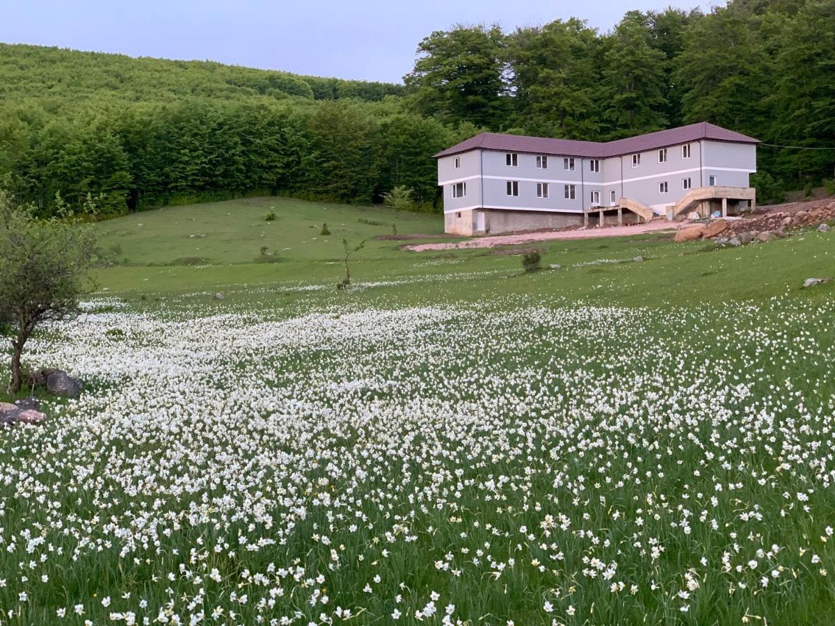 Bujtina Shehu Hotel Kukes Buitenkant foto