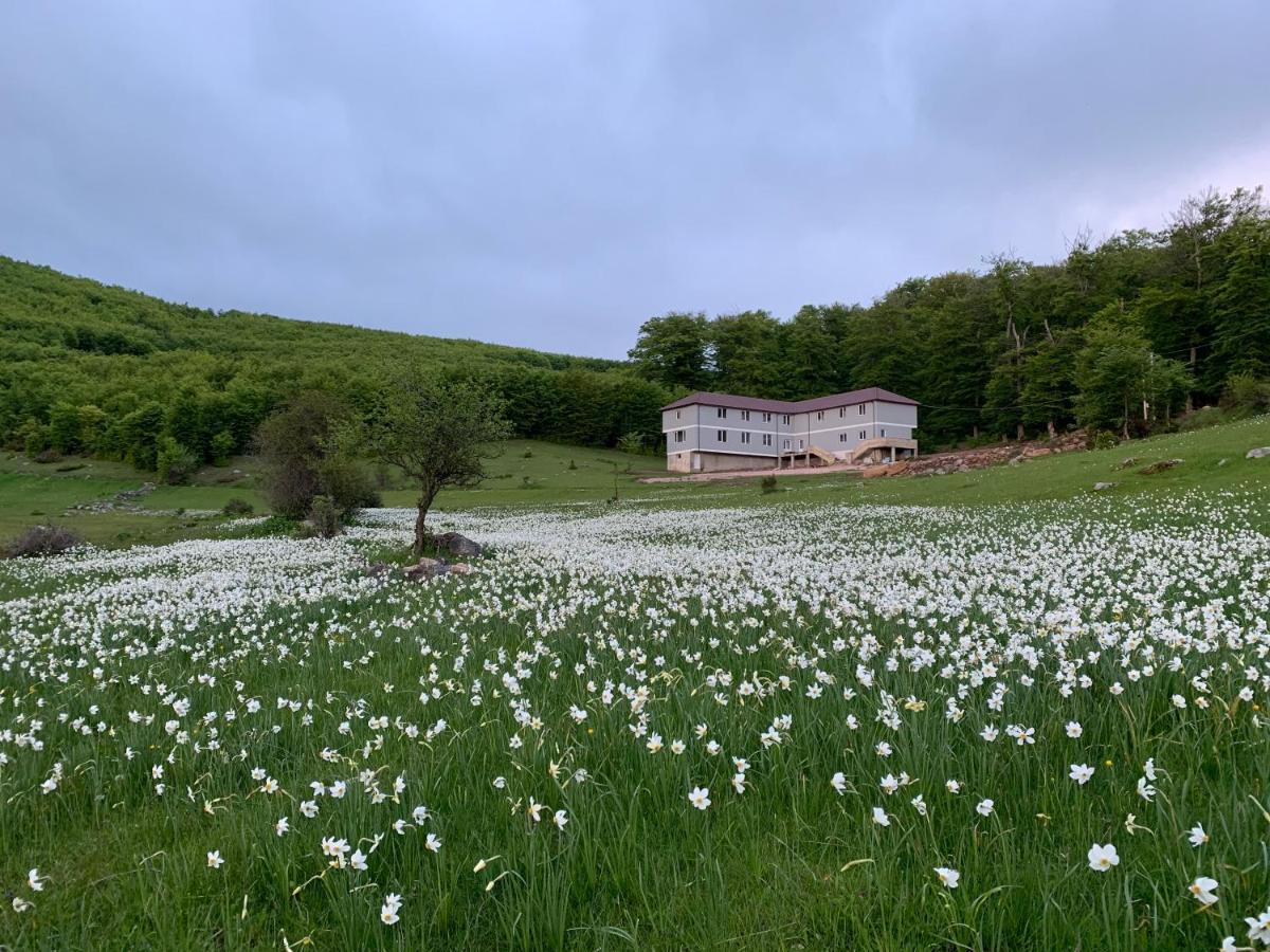 Bujtina Shehu Hotel Kukes Buitenkant foto