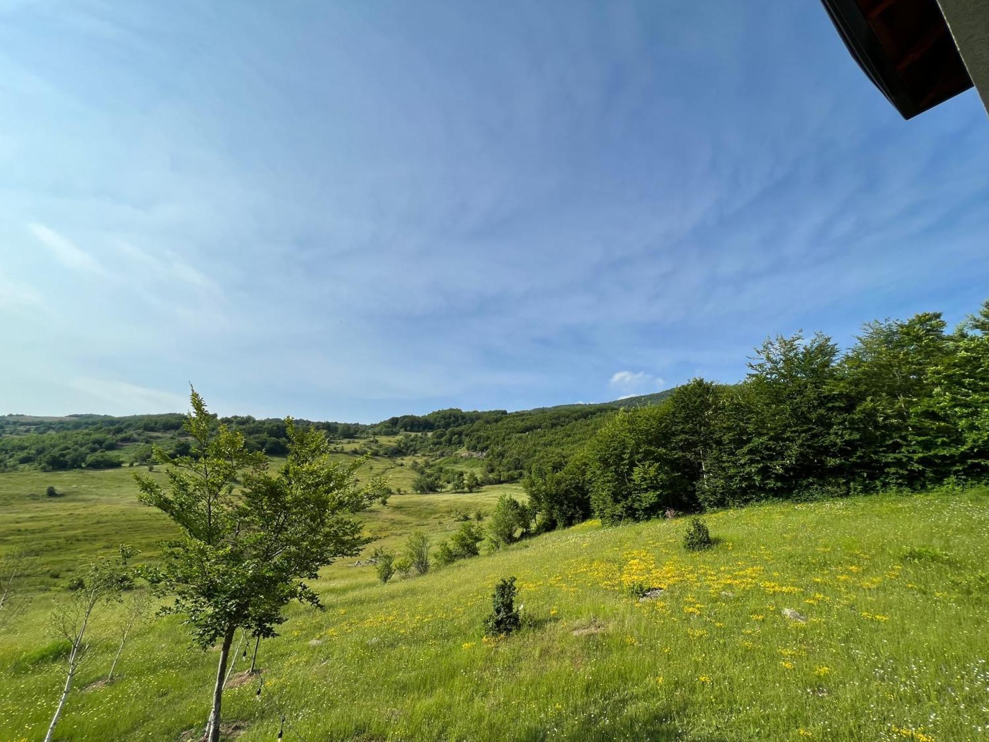 Bujtina Shehu Hotel Kukes Buitenkant foto